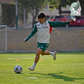 Mi Selección